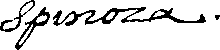 Spinoza's Signature